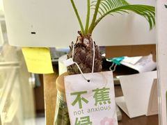 -流酥可心·牛乳蛋糕商店(禾祥西路店)