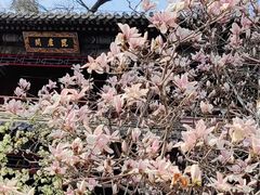 -潭柘寺景区