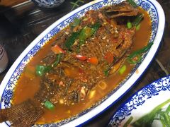 红烧洱海鱼-阿鹏故事云南野生菌火锅(人民路店)