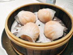 -香港龙凤楼(巨鹿路洋房店)
