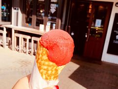 -Patagonia Chocolates(皇后镇店)