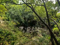 -青芝山风景名胜区