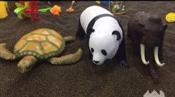 -佳贝爱益智主题儿童乐园(乐尔乐旗舰店)