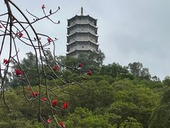 -深圳国际园林花卉博览园