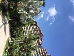 三亚湾海居铂尔曼度假酒店-三亚湾海居铂尔曼度假酒店