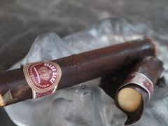 -Hi City·城市之巅