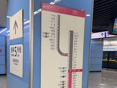 -大龙山(地铁站)