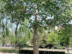 -朝阳公园游乐园