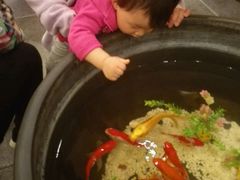 -东来顺饭庄(金泉广场店)