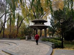 -玲珑塔公园
