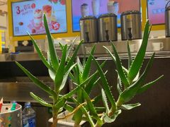 -快乐柠檬happy(衡阳步步高店)