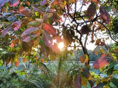 -均和墟历史街区-平和大押