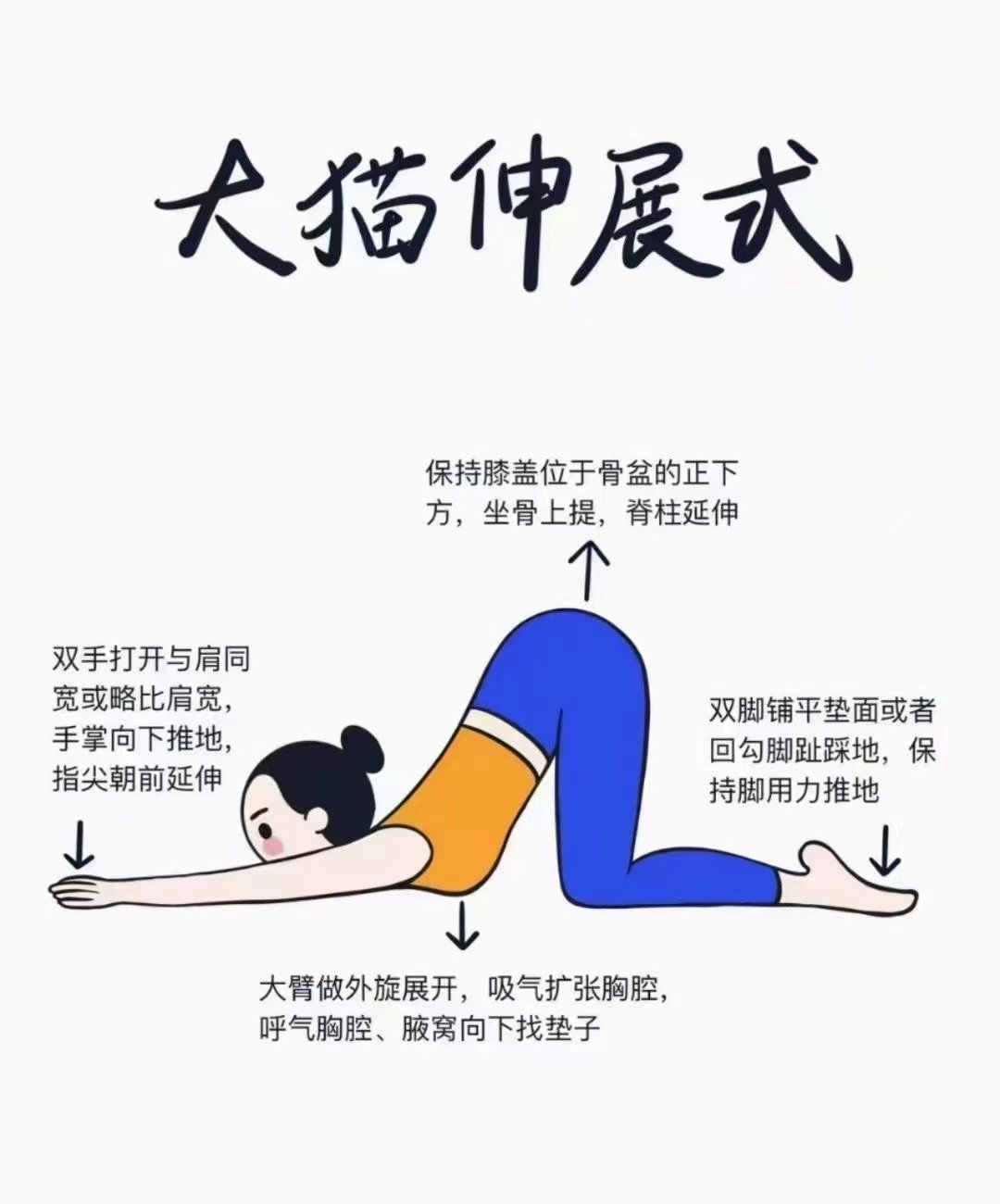 大猫伸展式功效