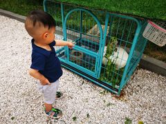 -成都安仁福朋喜来登酒店