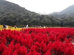 -广州市石门国家森林公园