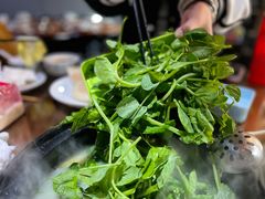 -代羊肉(中和店)