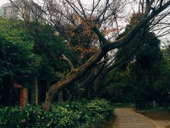 -贵州师范大学(宝山北路校区)