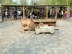 -长白岛森林公园