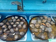-港畔赶海蒸汽海鲜烧烤自助(仙螺岛店)