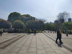 -映月湖中央公园