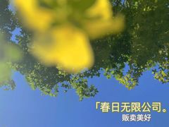 -雍和宫