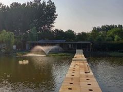 -同銮特种养殖场·龙虾垂钓