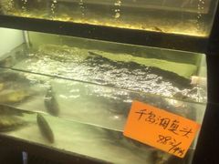 -侬佳蒸菜馆(听潮店)