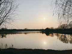 -上海滨江森林公园