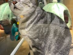 -有才叔的小馆(招商依云曲江店)