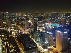 -新加坡瑞士史丹福酒店