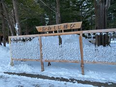 -北海道神宫