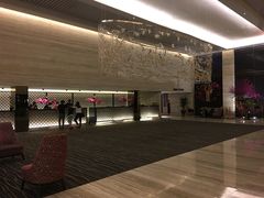 -新加坡乌节希尔顿酒店 (SG Clean)