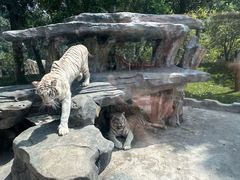 -北京野生动物园