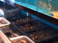 -渔家颂歌渔家味道(青石路店)