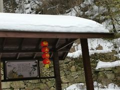 -王顺山国家森林公园
