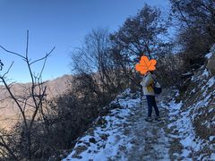 -黑河国家森林公园