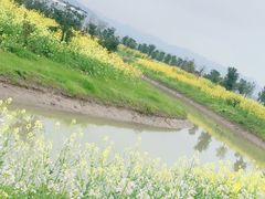 -米果果小镇