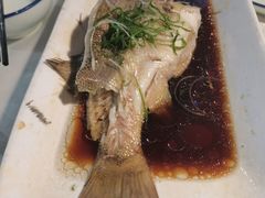 -云中小雅