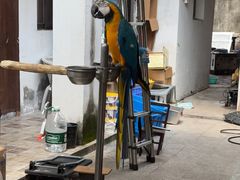 -观桥阁(锦溪店)