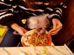 -the rug 飞毯 (朝阳公园店)