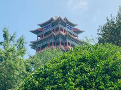 -永定河休闲森林公园