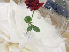 -星巴克(上海虹桥新天地二店)
