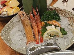 -菊上日式料理(蚌埠银泰店)