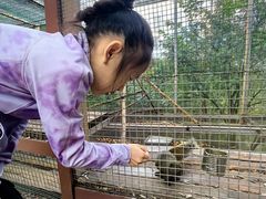 -欢乐松鼠谷