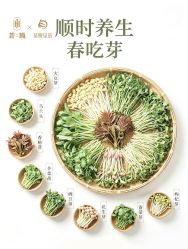 -至爱至信新中式SPA疗愈会所