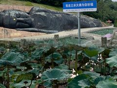 -三水森林公园