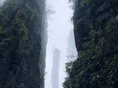 -恩施大峡谷
