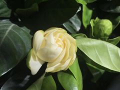 -三旗百汇商品城