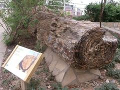 android_upload_pic-北京市海淀外国语实验学校