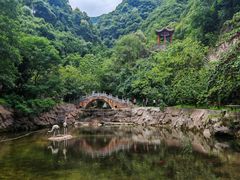 -西安祥峪森林公园